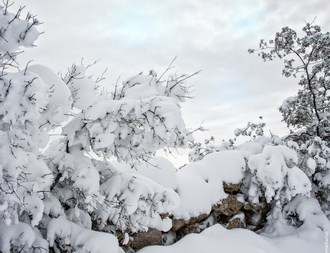 Valdemorillo