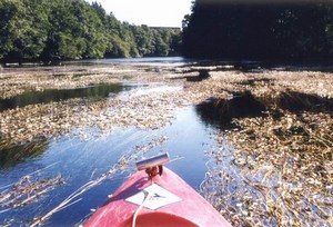 río miño