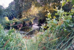 río miño