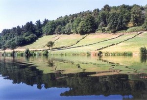 río miño