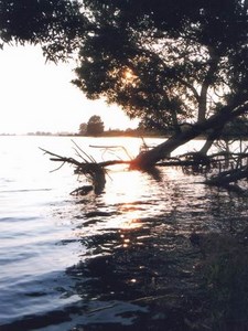 río miño