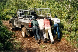 Guatemala - Sierra de las Minas