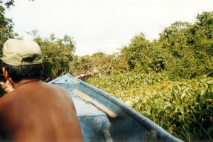 Guatemala - Lago Izabal - Polochic