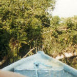 Guatemala - Lago Izabal