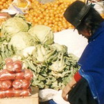 Ecuador - Guamote