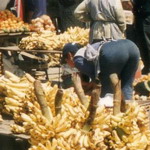 Ecuador - Guamote