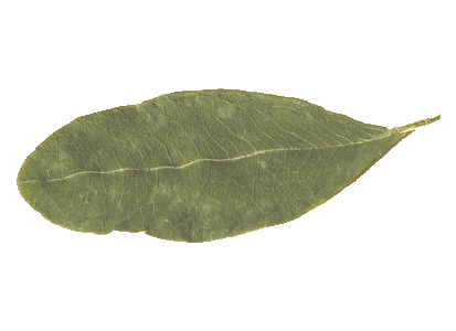 blog-image