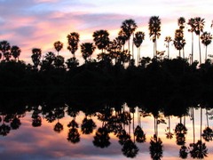 Puerto Suárez