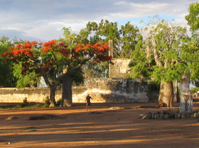Tsihombe