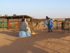 camellos