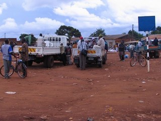 Lichinga lichinga