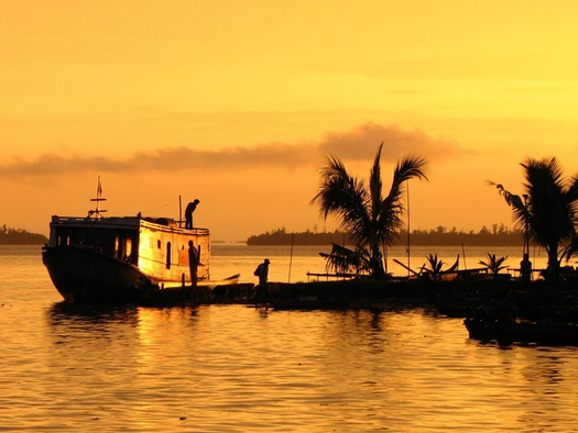 blog-image