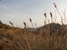San José, Cabo de Gata