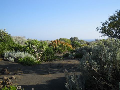 El Hierro