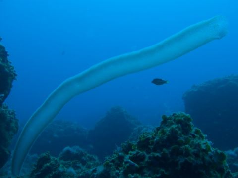El Hierro