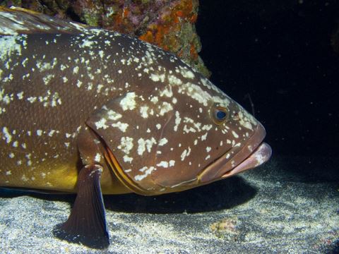 El Hierro