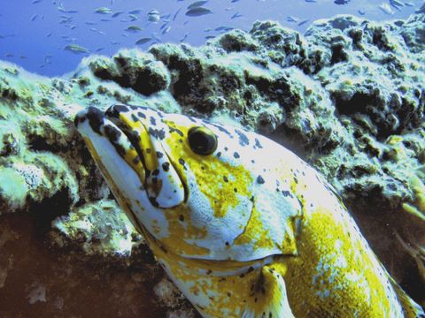 El Hierro
