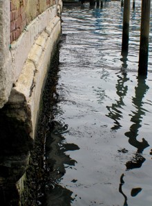 Venecia
