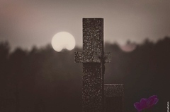 cementerio