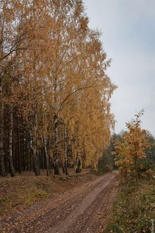 Polonia