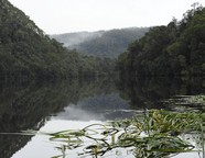 pieman_river