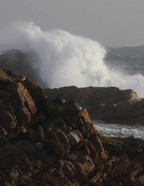 nelson_bay