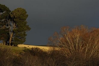 Tasmania