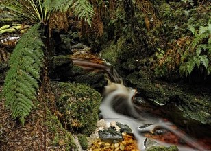 Tasmania