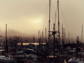 Browning Pass, Vancouver Island, Canada