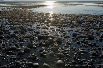 Haida Gwaii, British Columbia, Canada