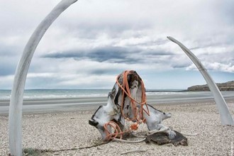 Argentina - Puerto Pirámides