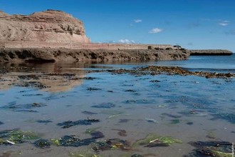 Argentina - Península Valdés - Puerto Pirámides