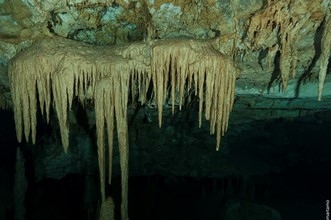 Cenotes, Riviera Maya, Yucatán, México
