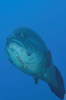 Madeira, Portugal
