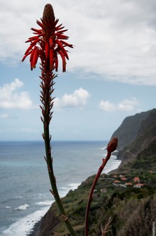 Madeira, Portugal