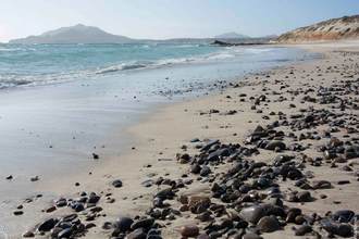 Cabo Pulmo, BCS, México
