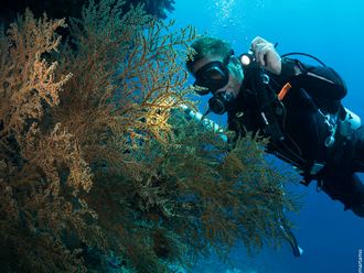 Alor Divers, Indonesia