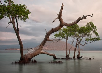 Alor Divers, Indonesia