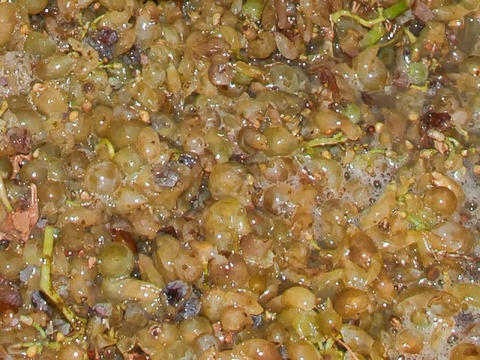 Castronuño, España